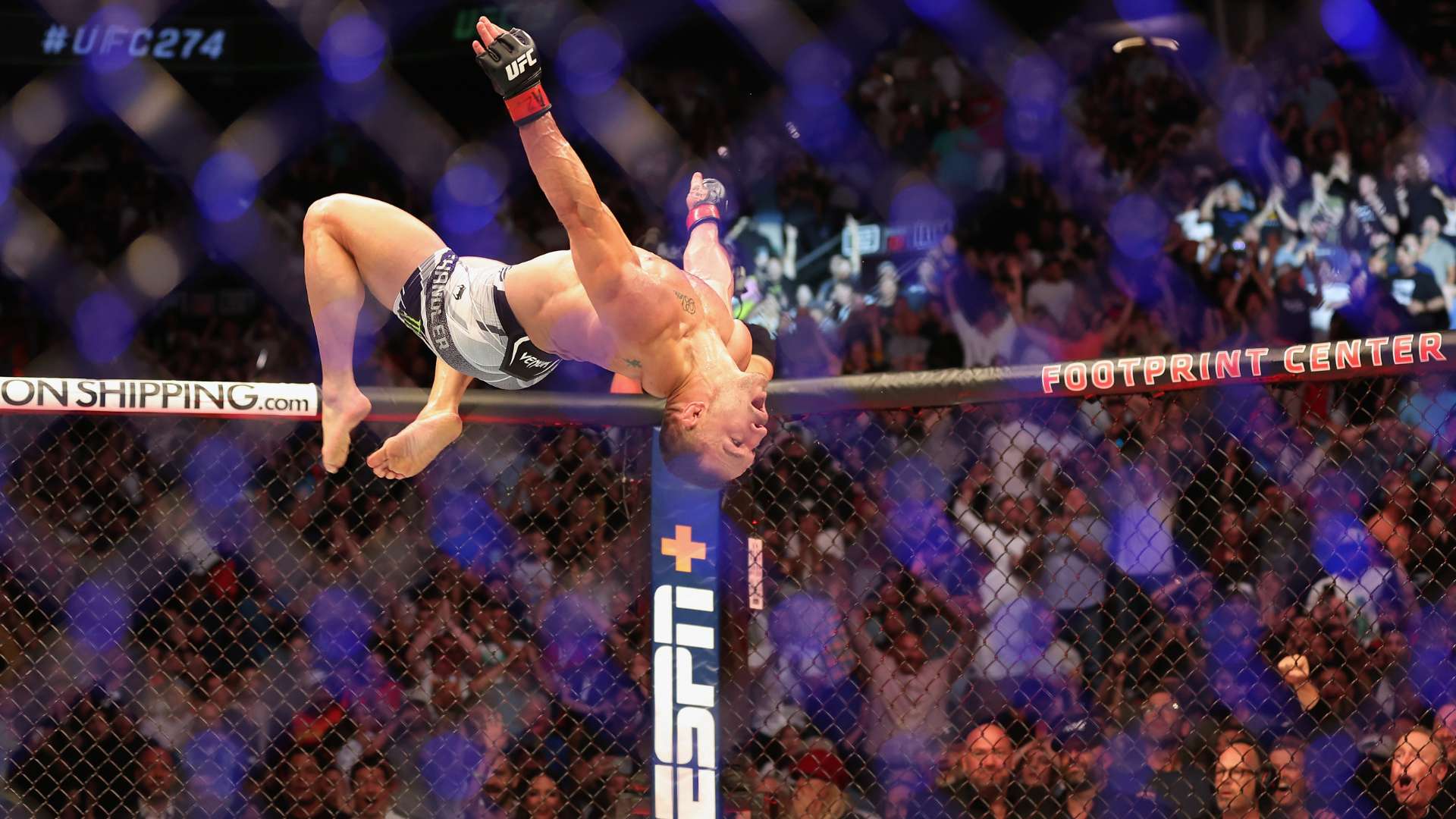 虽败犹荣 虽败犹荣